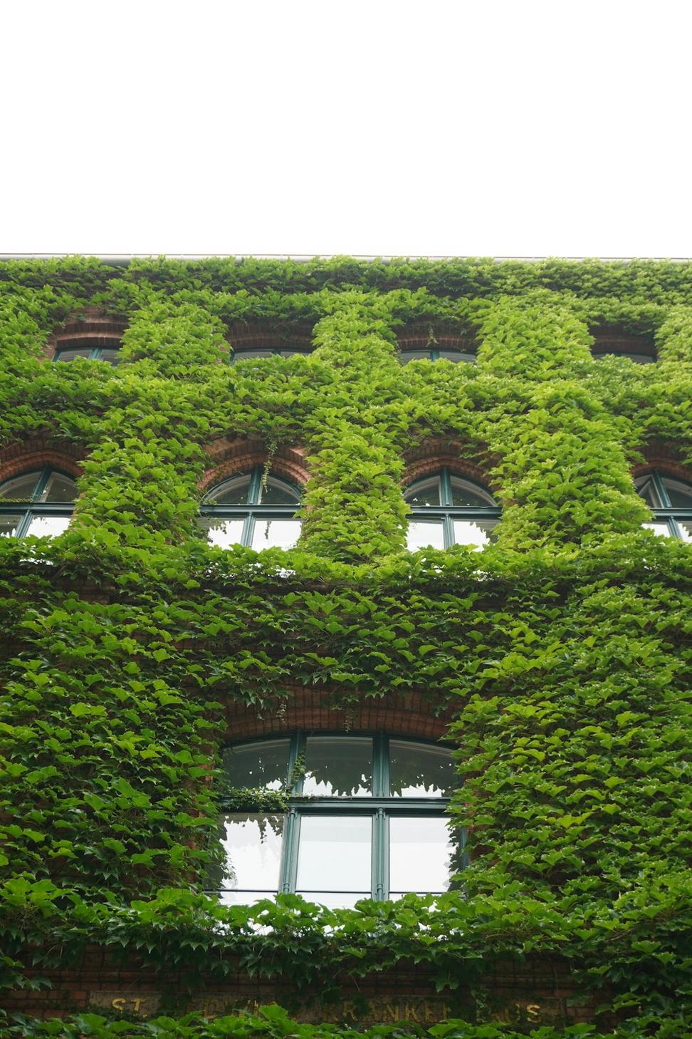 Eco Building